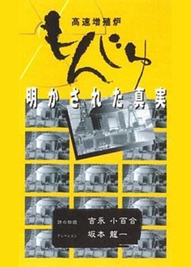 高速増殖炉もんじゅ――明かされた真実